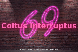 Coitus interruptus Escort Berlin Privatmodelle Escortgirls Teen Escort Escortservice Callgirls